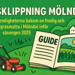 grsklippning mlndal din guide fr perfekt grsmatta 2025