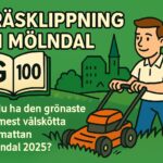 grsklippning i mlndal din guide fr ett perfekt resultat 2025